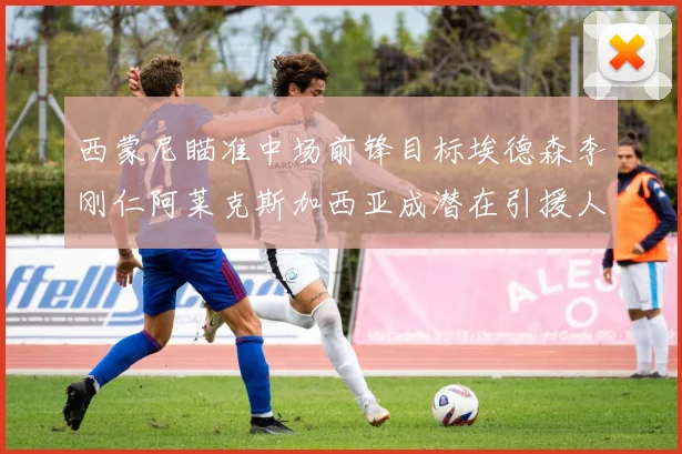 西蒙尼瞄准中场前锋目标埃德森李刚仁阿莱克斯加西亚成潜在引援人选